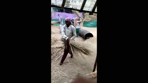 Life of Village | Indian Traditional Paddy Threshing Method