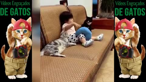 Vídeos engraçados de animais parte 4