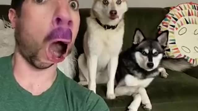 AWW SO FUNNY😂😂 Super Dogs Reaction Videos