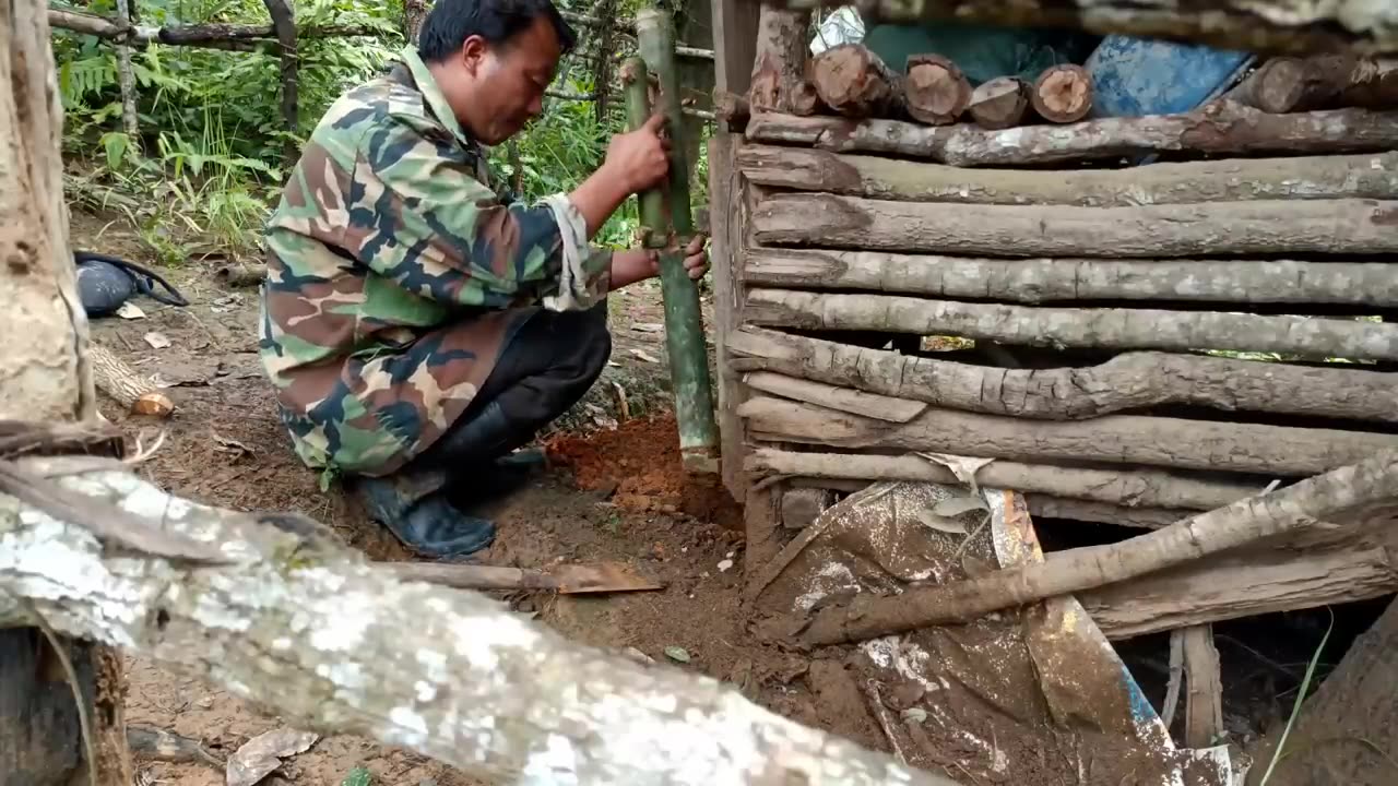 Create amazing bamboo trap to catch civet eat chicken in the Garden good results