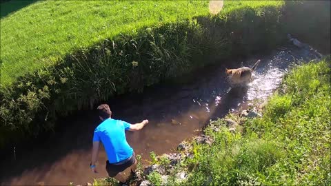 Man playing with his dog !