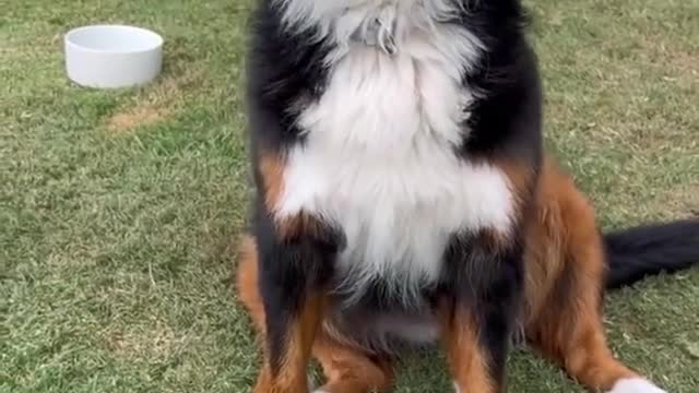 He needs a family 🥺