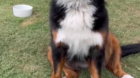 He needs a family 🥺