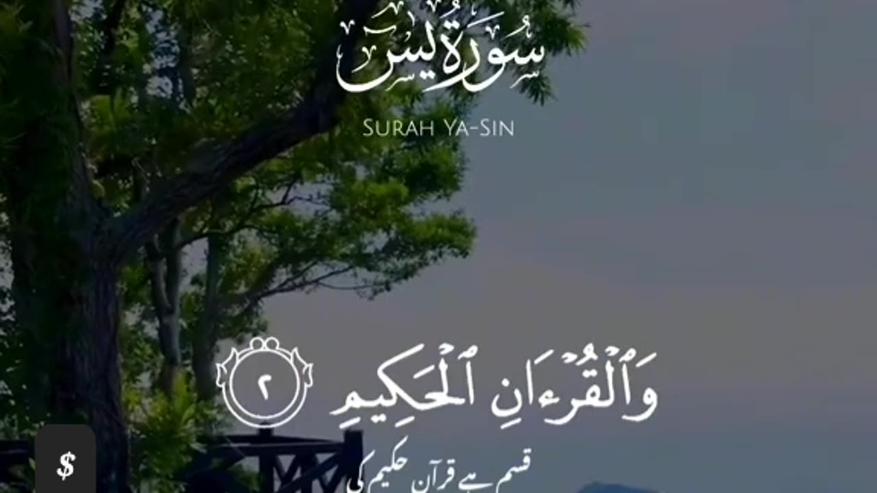 Surah Yaseen #surah #yaseen #Quran #shorts