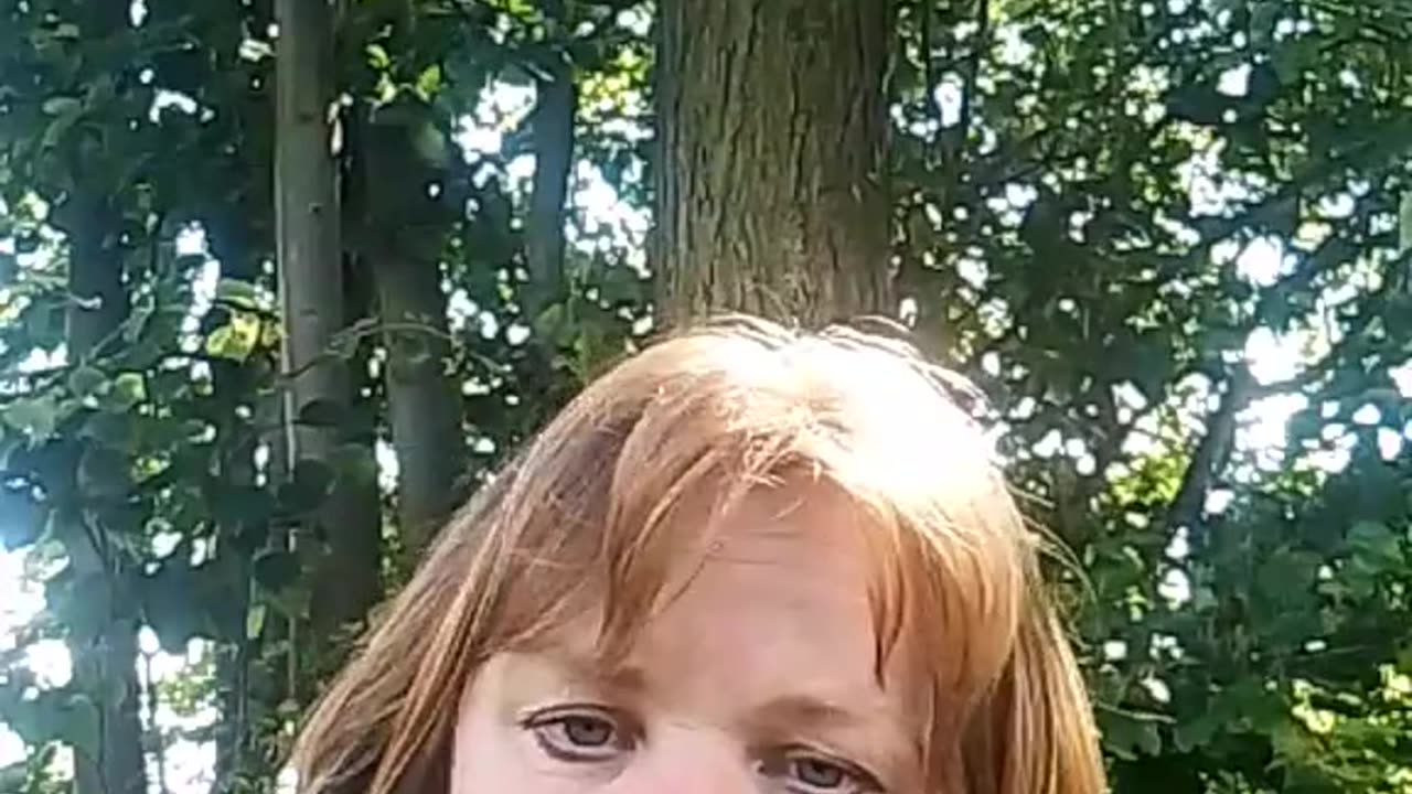 Technická kontrola = pronájem registrační značky