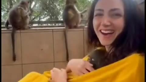 Women love monkey