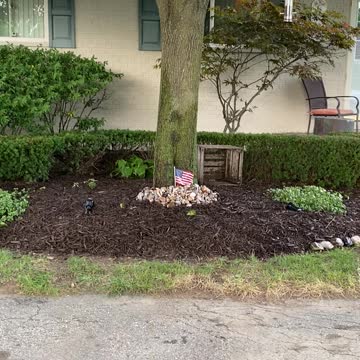 All My Great Lakes Rocks Displayed