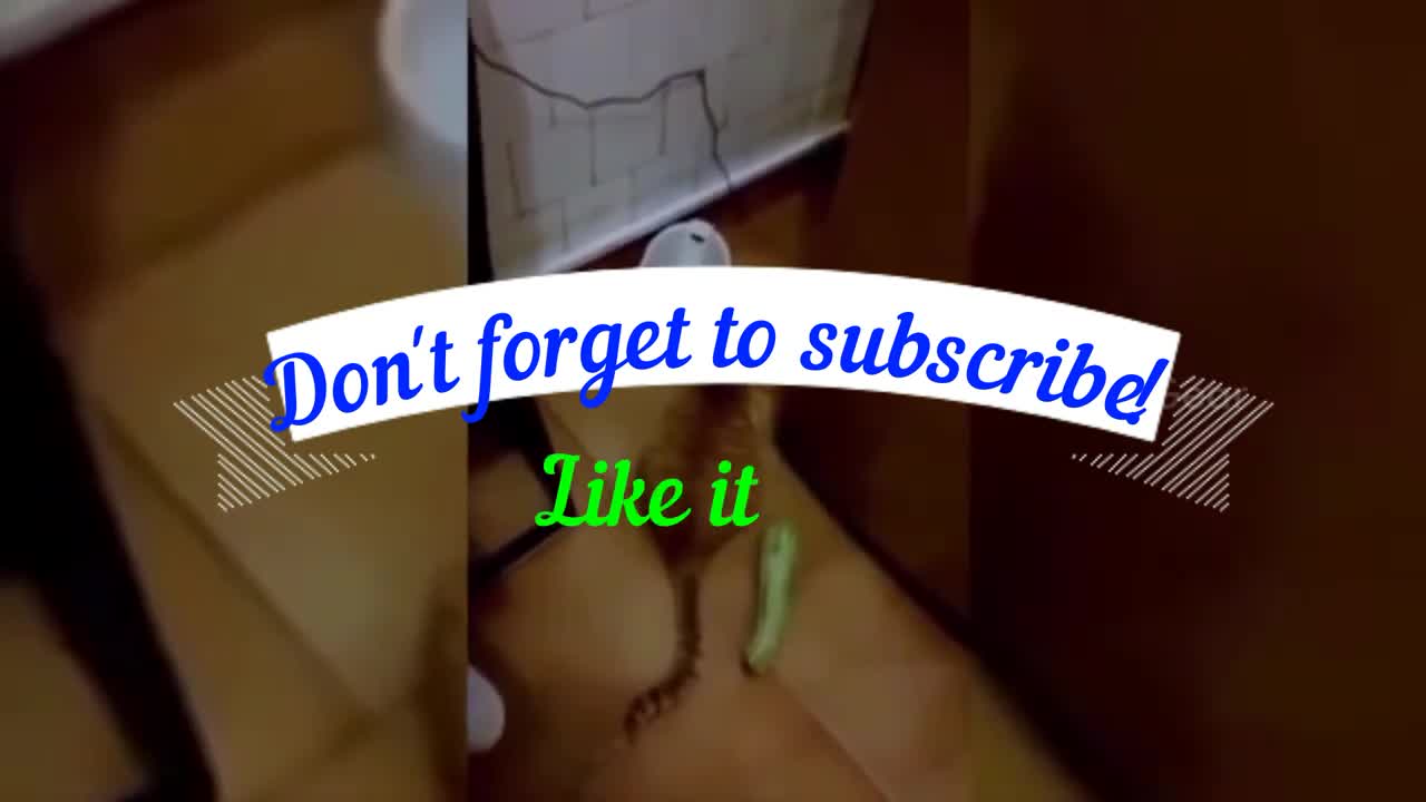 Funny scared cats , loot at the reflexes ! I dare you to not LOL