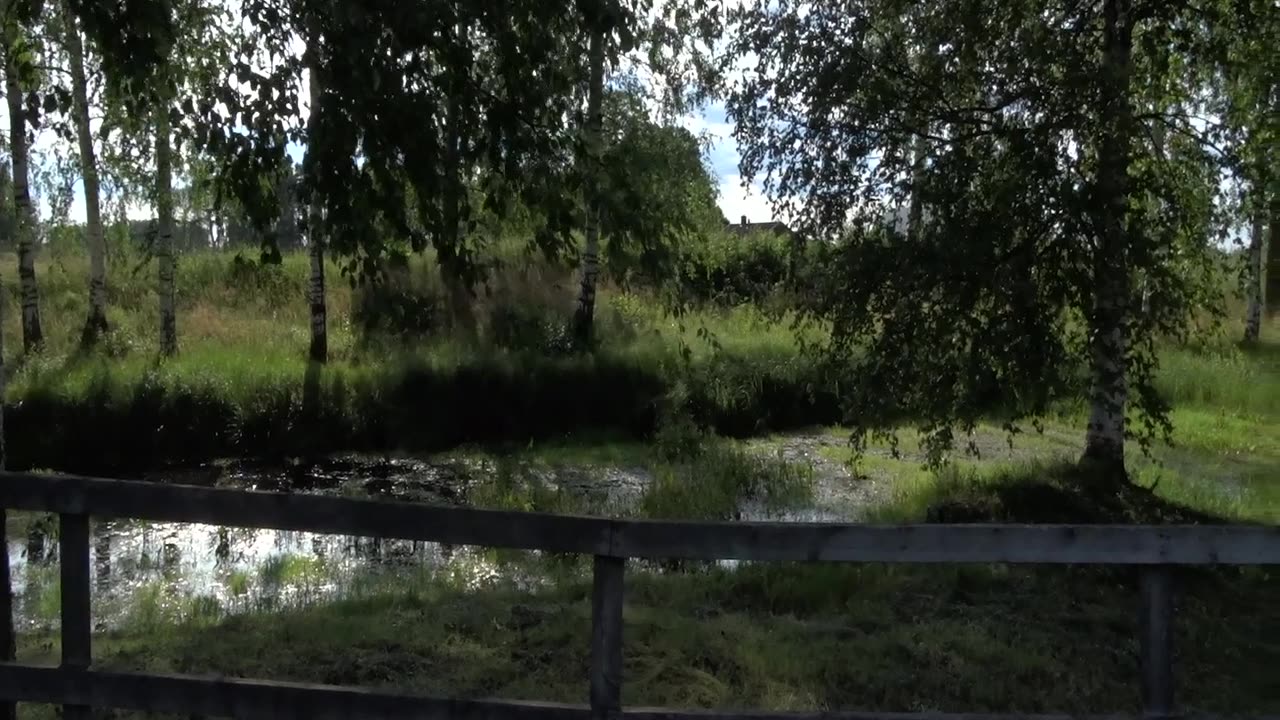 Hanna läser Psalm 23 i Kullkyrkan i Mosås socken 10 Juli 2019