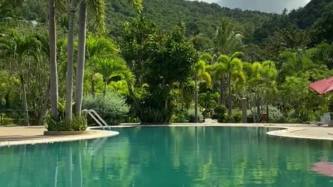 A View of the Swimming Pool in a Resort