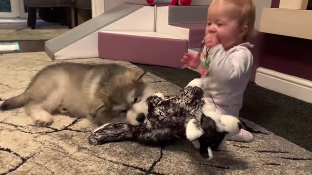 The Best Year Of Our Lives! Baby And Puppy Growing Up Together! (Cutest Ever!!) 2