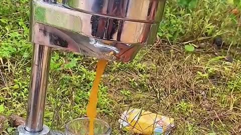 Testy Orange 🤤🤤