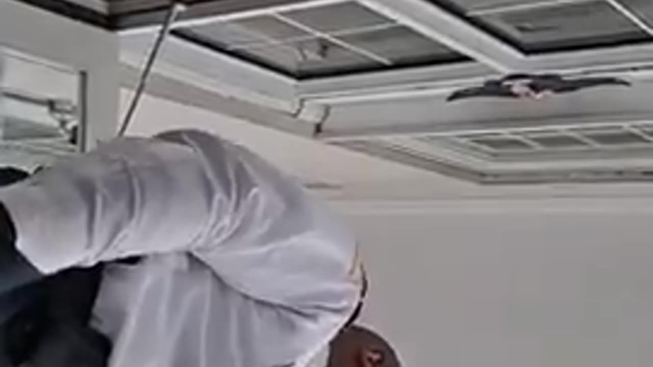 Rebel Throwing A Tantrum On The Floor Of A Courthouse 02-23-2023
