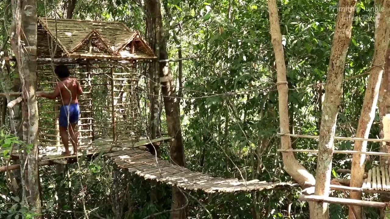 My 55Days in Forest-Building Most Amazing Treehouse and Suspension Bridge