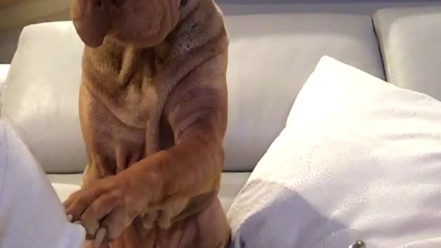 Can I have some?