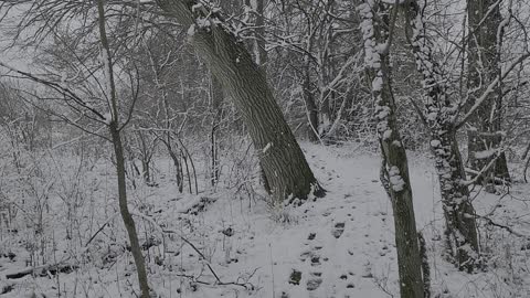 Snow hiking iowa