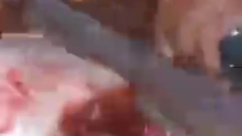 fish cutting in Bangladesh_