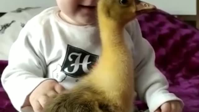 Cute baby with goose