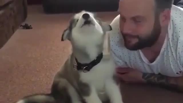 A dog smaller than its head