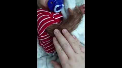 Baby Cute Animals, OMG Its Fanny Baby Animals