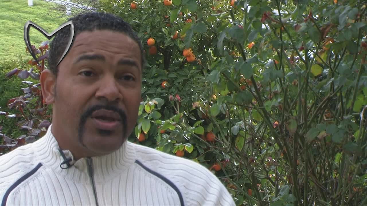 Frank Alexander Interview: Let's Solve a Murder