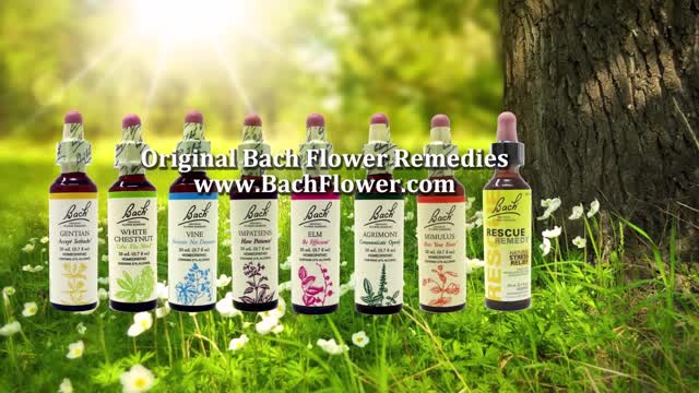 Bach Flower Remedies, How to Take them