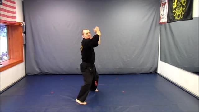 Basic Skillz Black Belt - Black Stripe