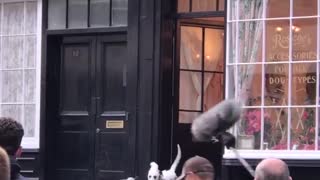 Dalmatian Movie Stars Spotted