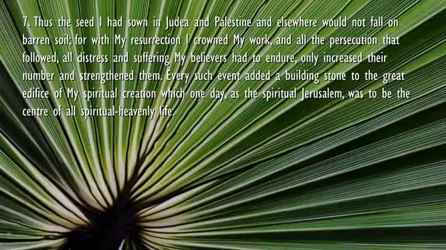 Christ's Entry into Jerusalem & Into the Hearts of Men ❤️ Jesus elucidates Matthew 211-9