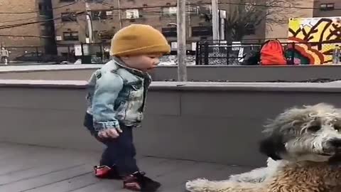 14 month old kid seeing a dog for the first time..
