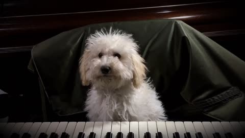 very cute