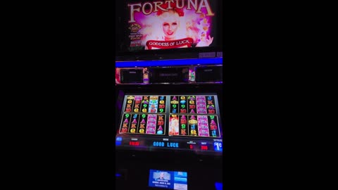 Fortunaa playing $20 on Fortuna