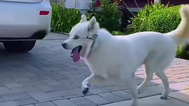 Today I treat you to be lovely and happy