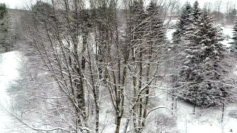 Lzzy weather northeast