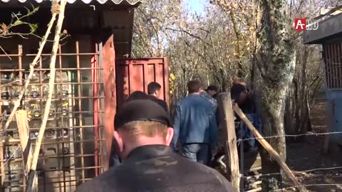 Перегрузки в Черноморэнерго