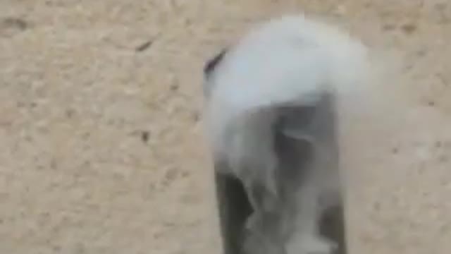 making gas vapor or fumes by heating the fuel