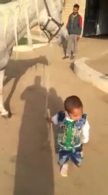 The youngest Knight in the world