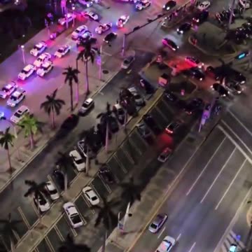 Police Response to Alien Encounter at Miami's Bayside Mall