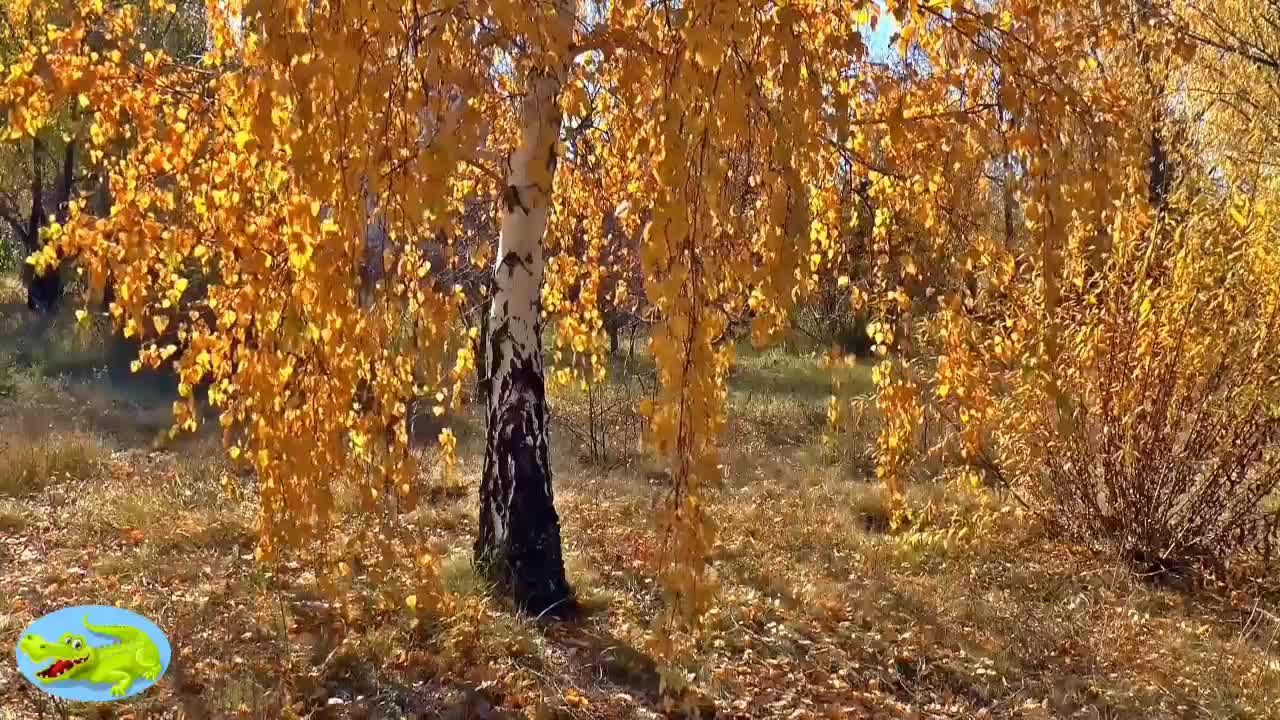 Nature. Forest life. How wonderful ...