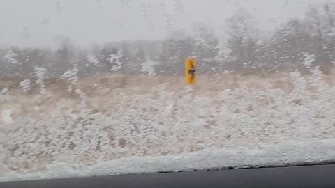 Snow and Grain
