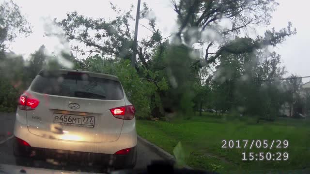 Storm Blows Down Trees in Moscow