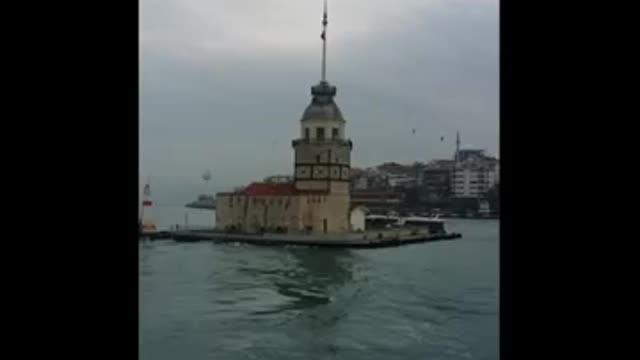 istanbul turkey maiden tower seagulls