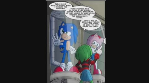 Newbie's Perspective Sonic the Continuation Issue 11 Review