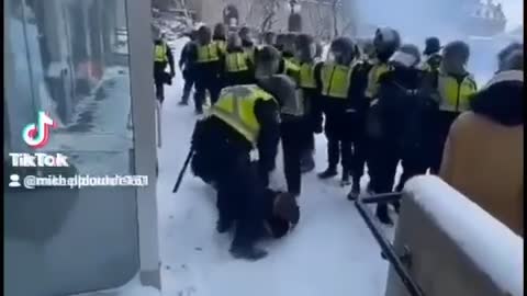 Violent cops in Ottawa last year