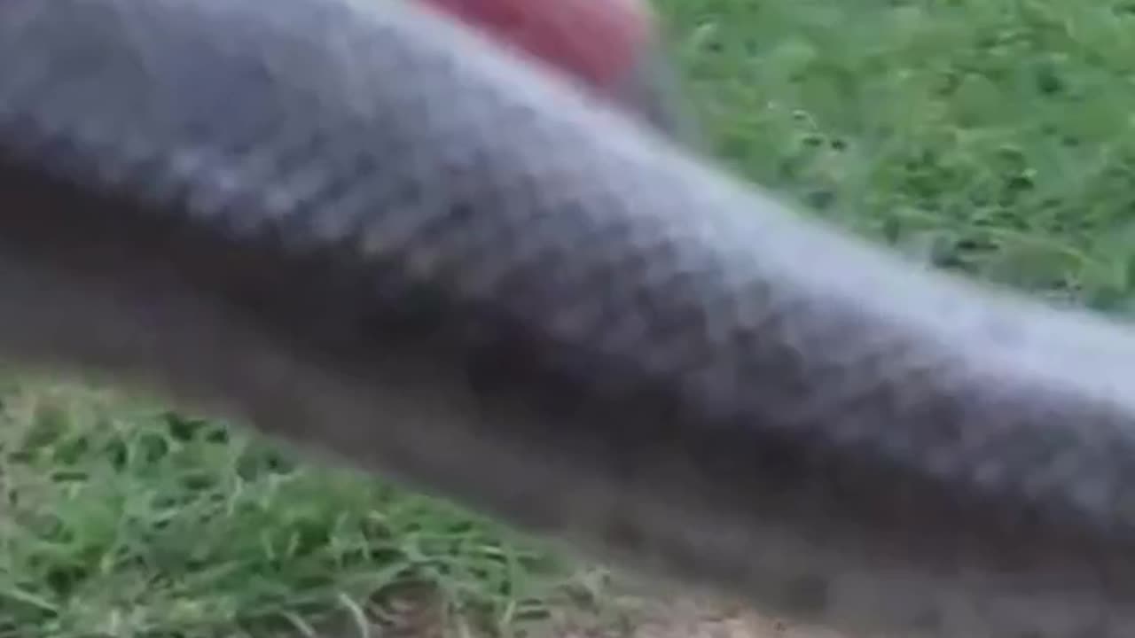 I was afraid I’d Drop It !