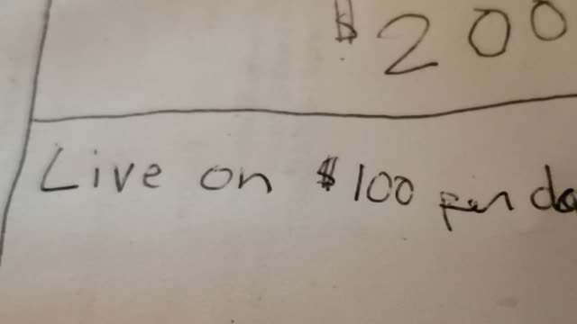 Live on $100 per day