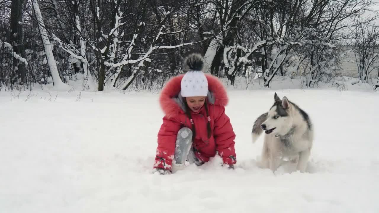 Young girl playing with siberian husky malamute dog on the snow outdoors in winter forest park