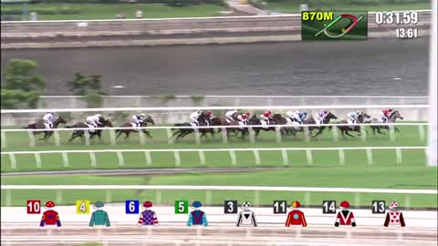 Horse_Race_2022061210_Chinese