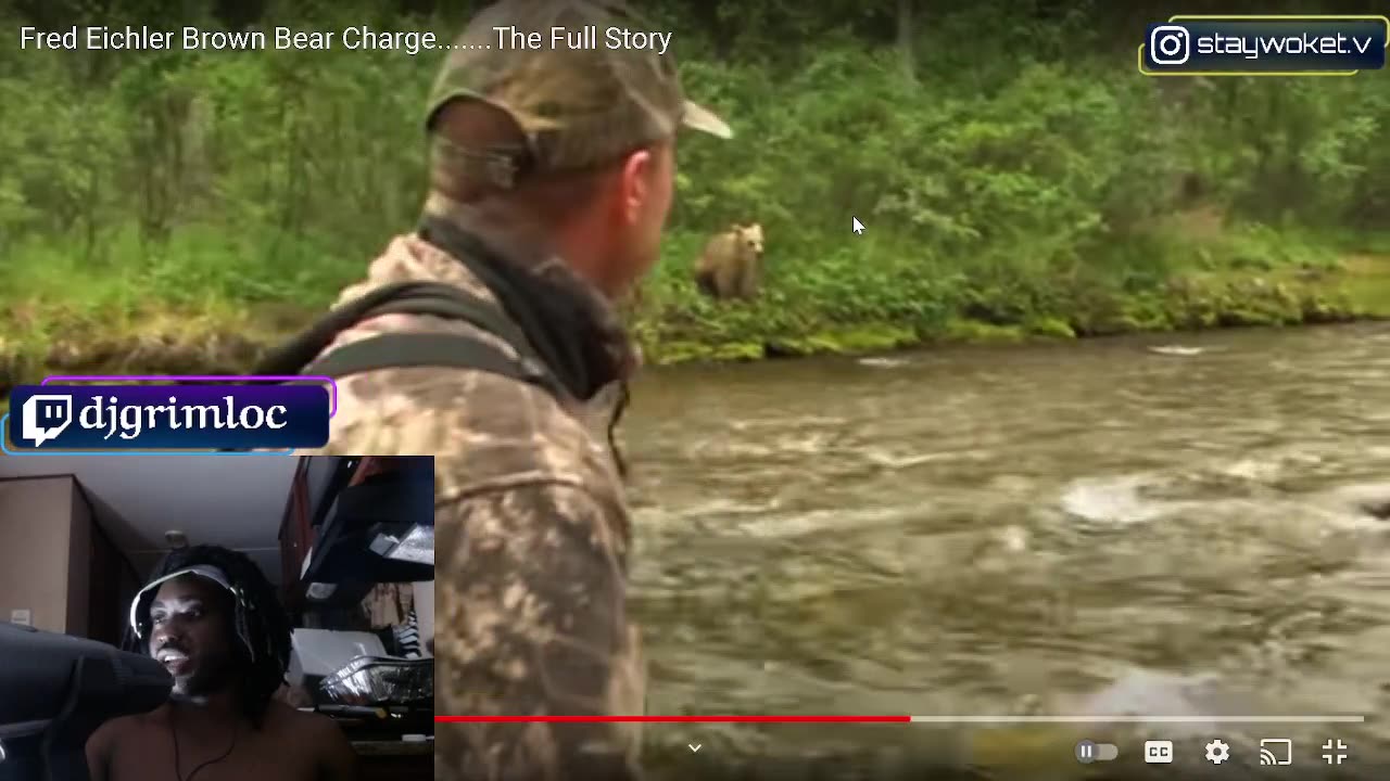 bear attack caught on video