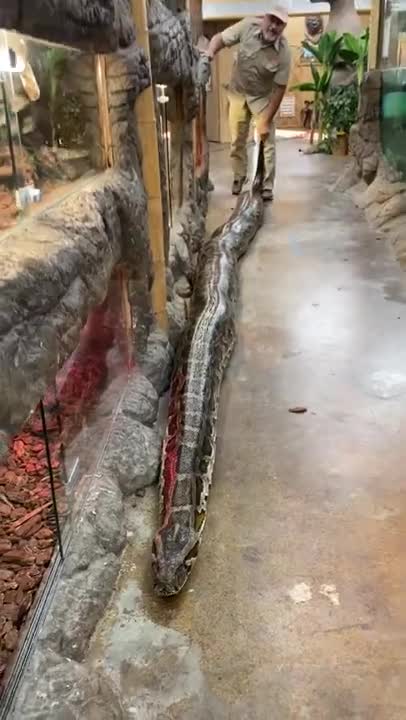 FUNNY AND CUTE ANIMALS 🐍⚕️🐍